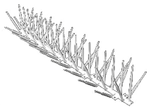 Bird Spikes