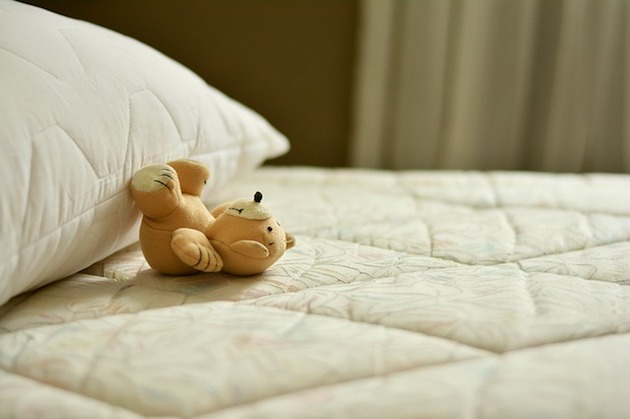 bed bug heat treatment mattress