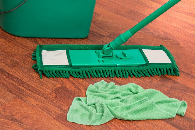 cleaning prevent pests