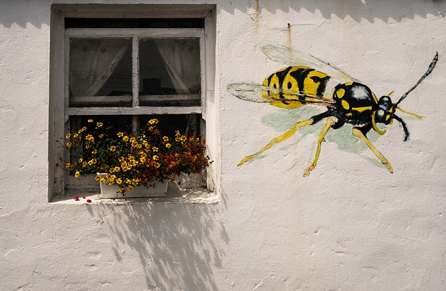 image of queen wasp on a house