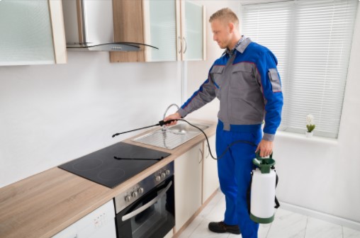 24 hour Pest Control Woodside Park N12