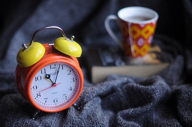 24 hour pest removal alarm
