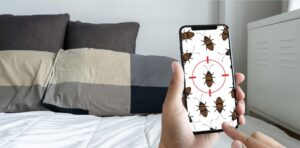 Bed Bug Control Hither Green SE6