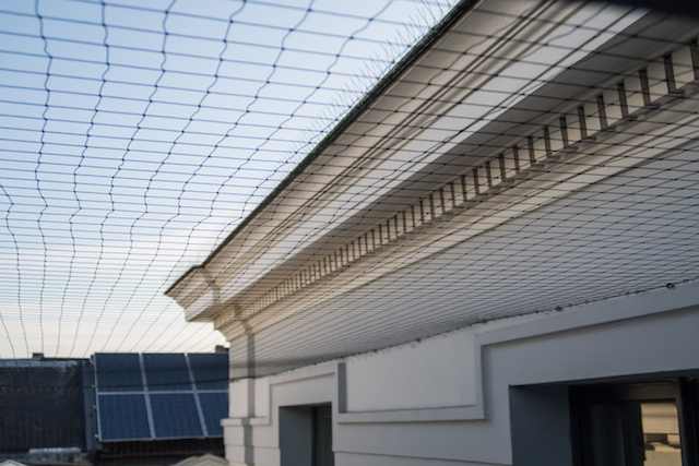 A woven net for birds to keep away from buildings