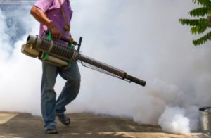 Avoid pest problem in 2021