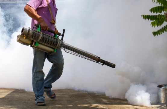 Avoid pest problem in 2021