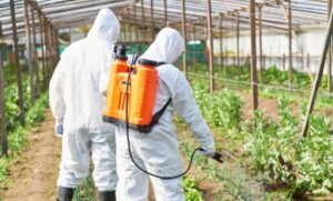 How Long After Spraying Pesticides is It Safe for Humans