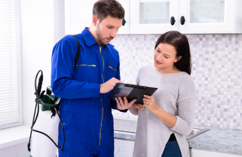 How Often Should Pest Control be Done in Your Home?