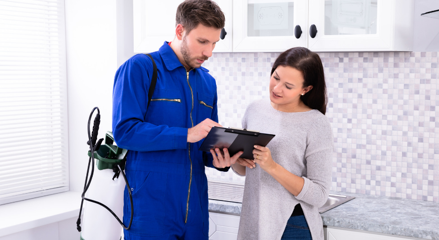 How Often Should Pest Control be Done in Your Home