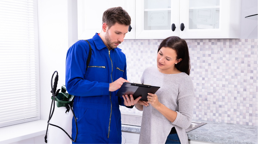 How Pest Professionals Improve your Quality of Life