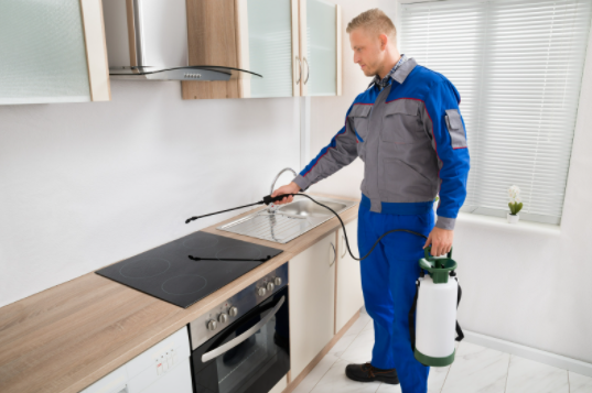 Innovations in Pest Control Technology
