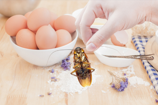 Integrated Pest Management