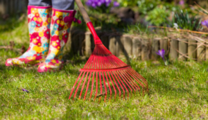 Keep your Yard and Feeding Areas Clean