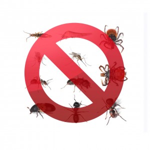 pest-control-london