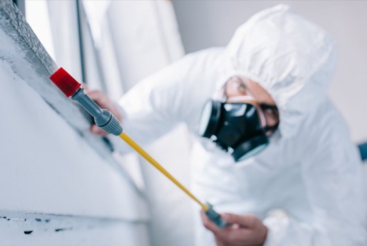 Pest Control Arkley
