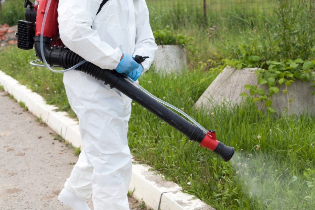 Pest Control Belsize Park NW3