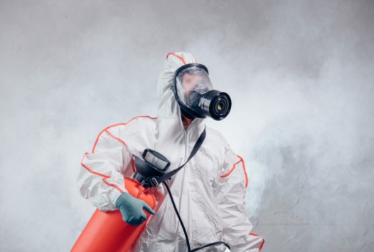 Pest Control Billingsgate