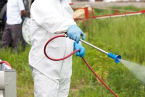 Pest Control Canary Wharf E14