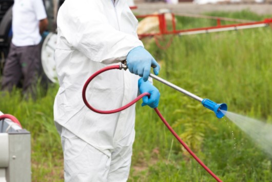 Pest Control Canary Wharf E14