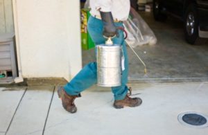 Pest Control Chalk Farm NW3