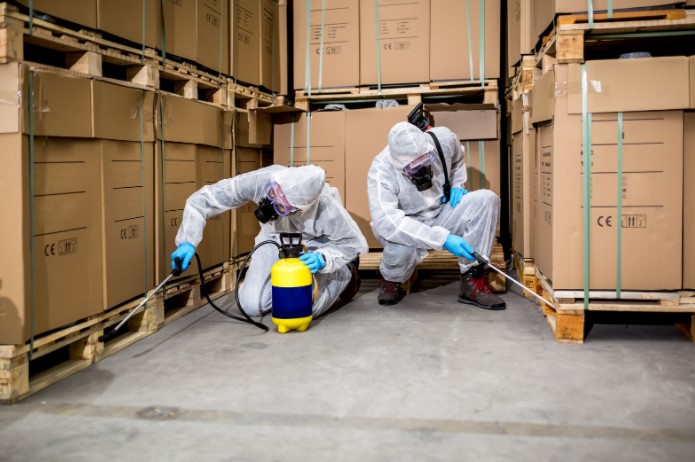 Pest Control Chancery Lane