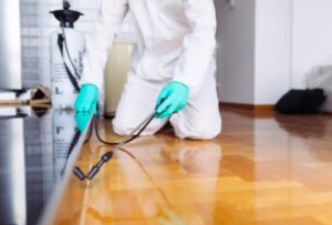 Pest Control Contracts in Hertfordshire