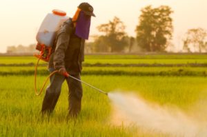 Pest Control Dollis Hill