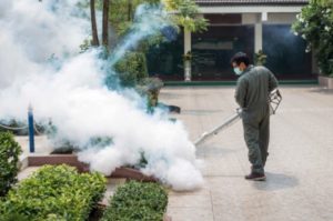 Pest Control Fitzrovia