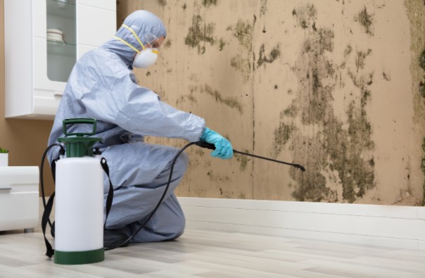 Pest Control technician spraying pests 