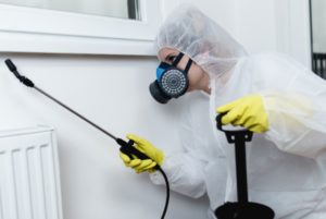 Pest Control Service for Gray’s Inn