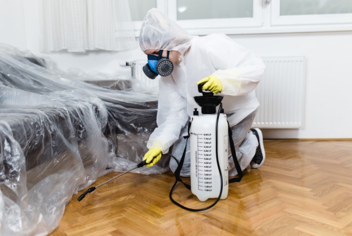 Pest Control Services Great Ormond Street