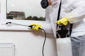 Pest Control Victoria Station SW1