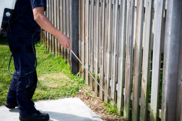 Pest Control Victoria Station sw1