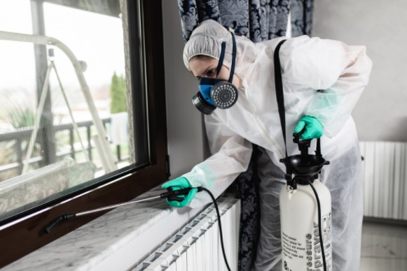 Pest Control in Enfield