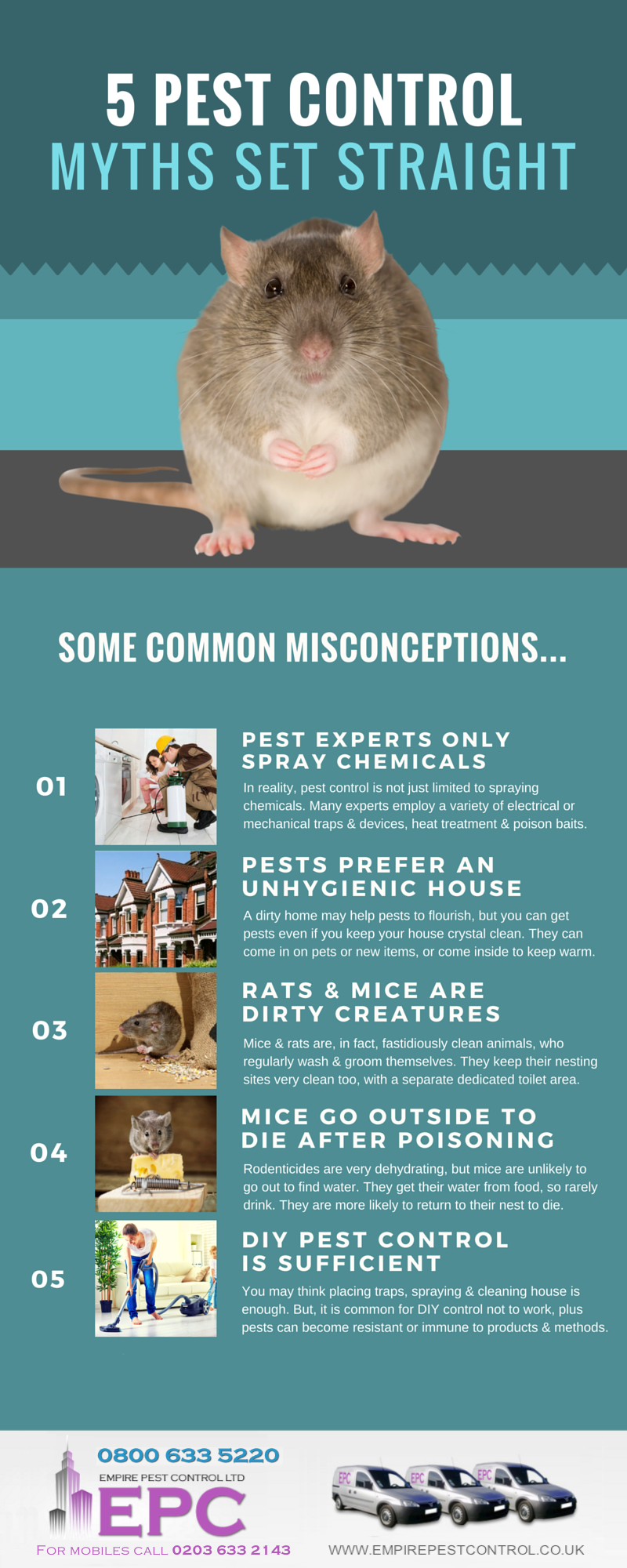 INFOGRAPHIC: Top 5 Pest Control Myths Set Straight