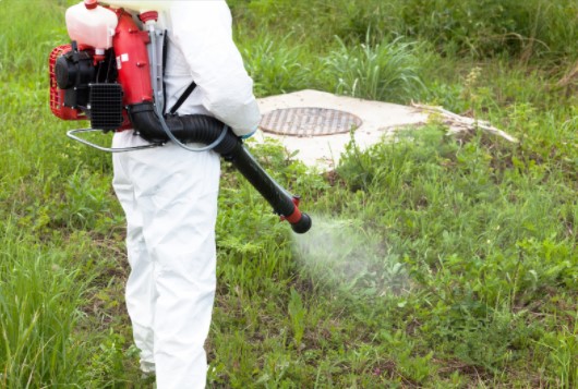 Pest control cambridge Heath E2