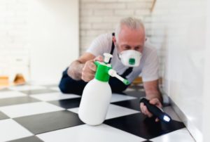 Pest control in Kent