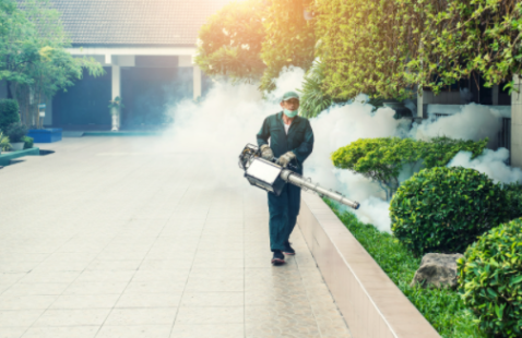 What is Fumigation Process in Pest Control?