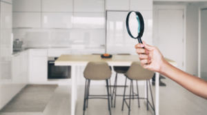 Tips to Keep your Home Pest Free in this Summer