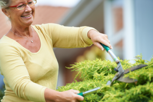 Trim your Verge