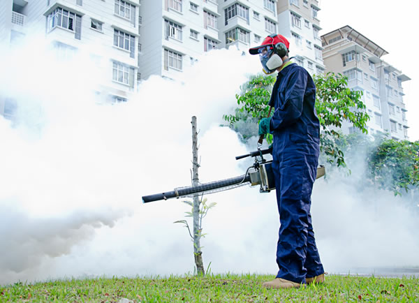 Pest Control Vauxhall Bridge sw1