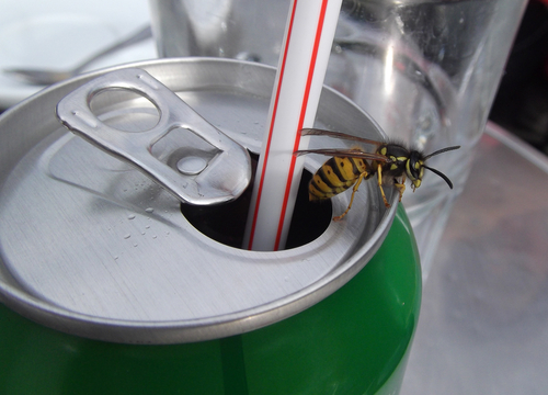 pest-on-drink