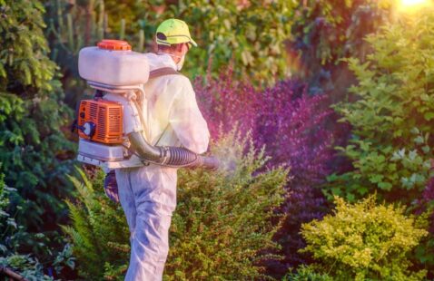 What Are the Benefits of Organic Pest Control?