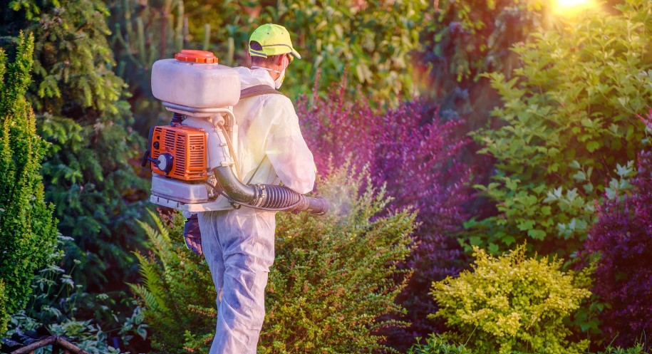 What Are the Benefits of Organic Pest Control?