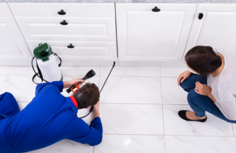 What Safety Precautions to Take While Doing Pest Control?