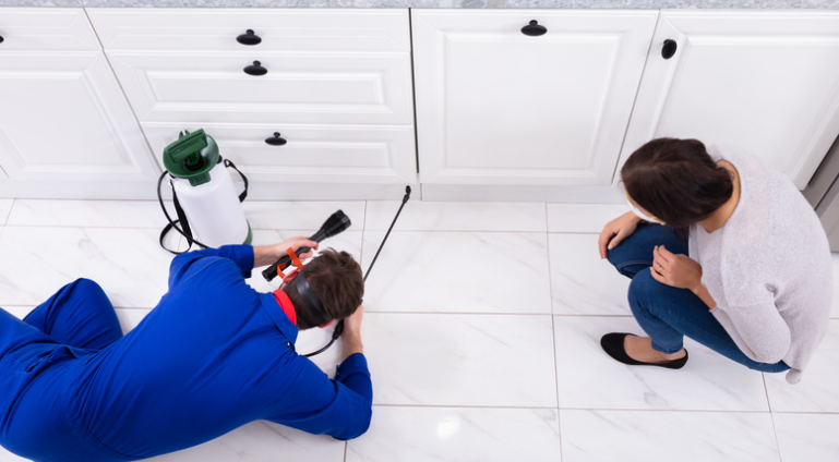 What Safety Precautions to Take While Doing Pest Control?