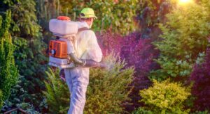 What is the Best Time for Pest Control Activity?