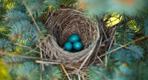 Why Use Scents to Deter Birds