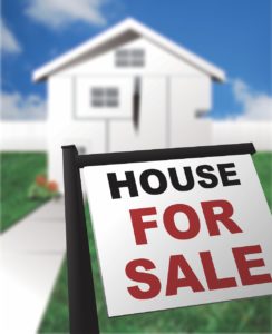 pest control for moving house in london
