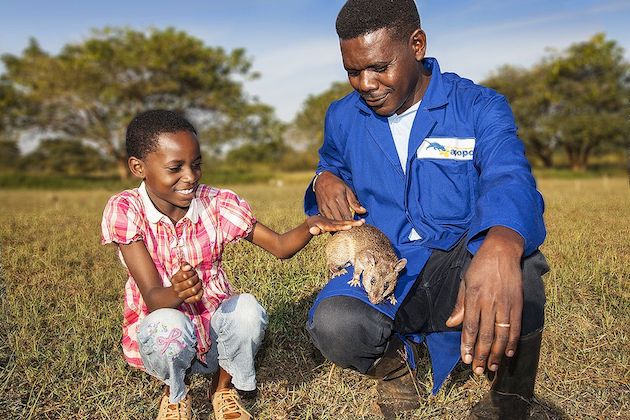 anti landmine rat with handler